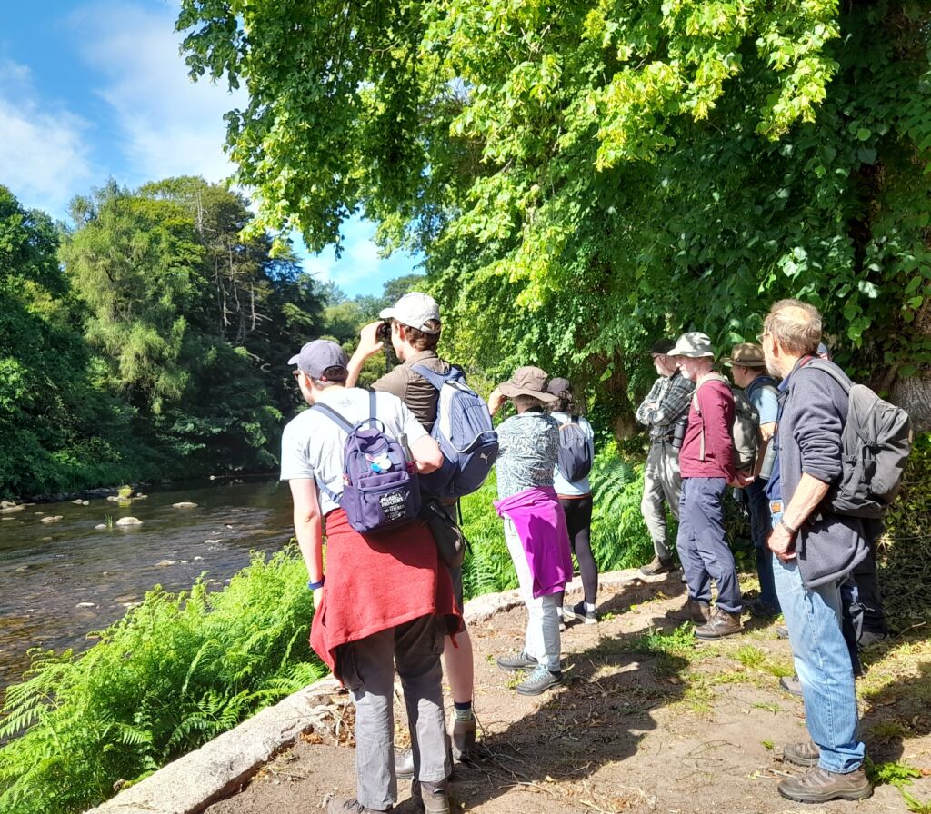 20250629 Riverside bird walk group