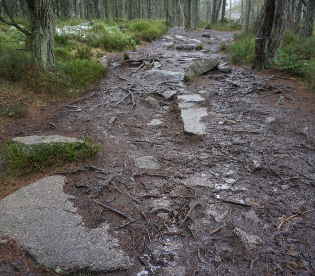 TL Erosion2