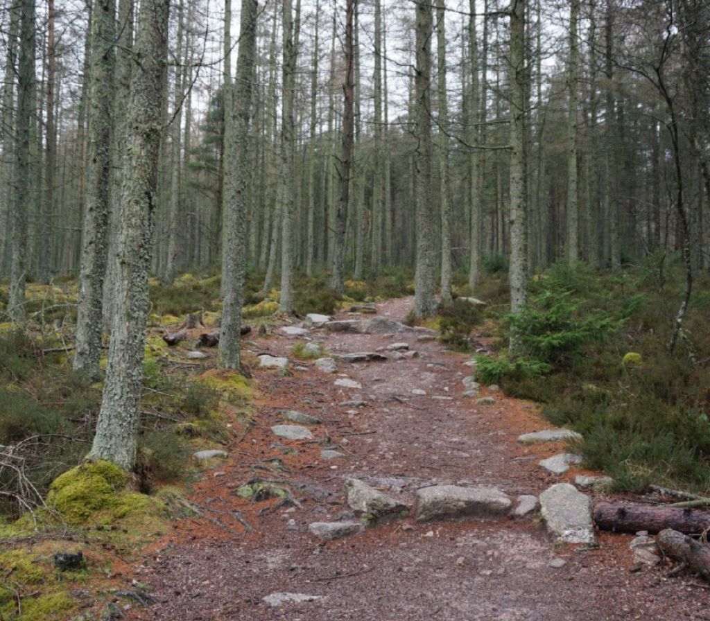 Path 1