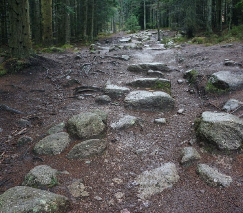 Path 2
