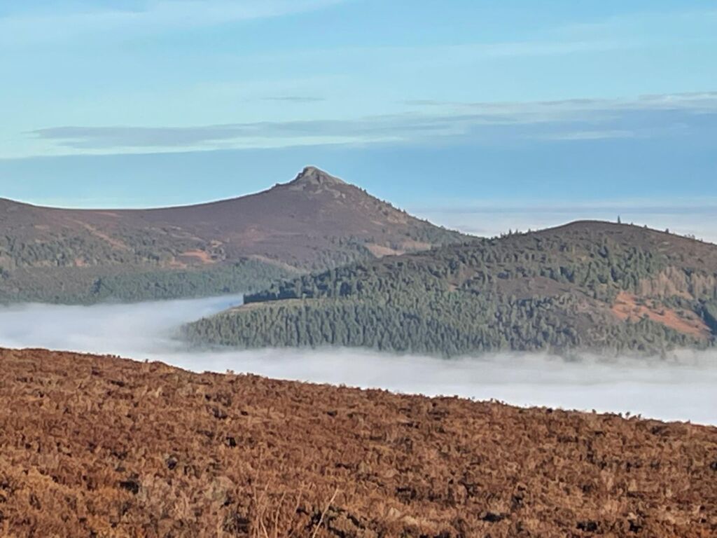 Tops with inversion