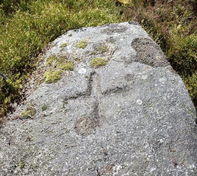 SAM1 Afforsk Stone d26c704160cff6bd22713001322238ee 1024x0