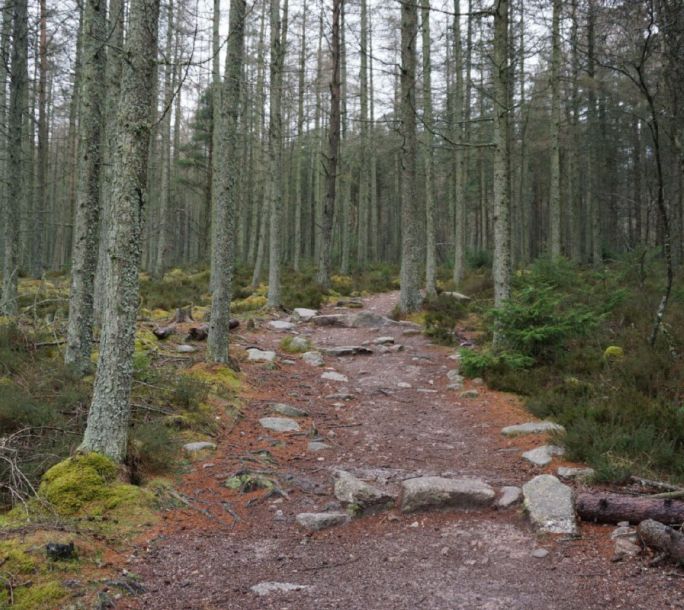 Path 1