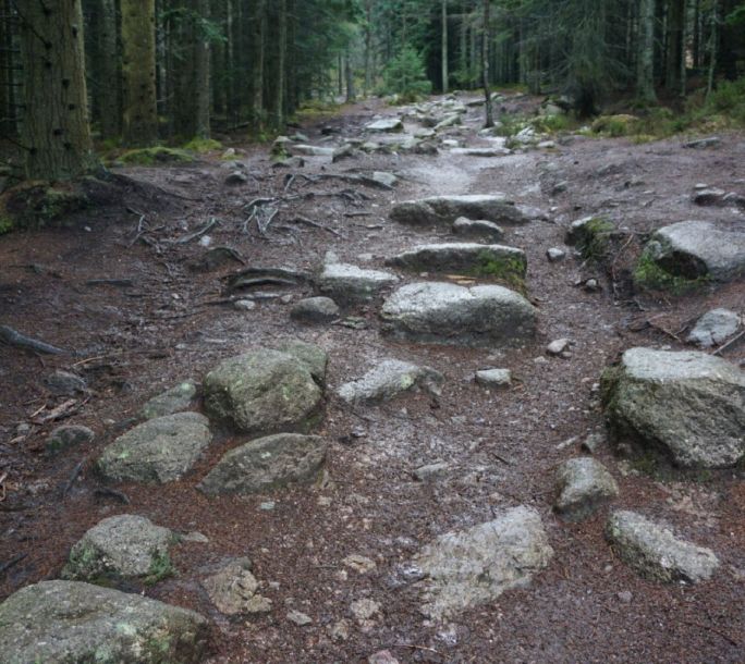 Path 2